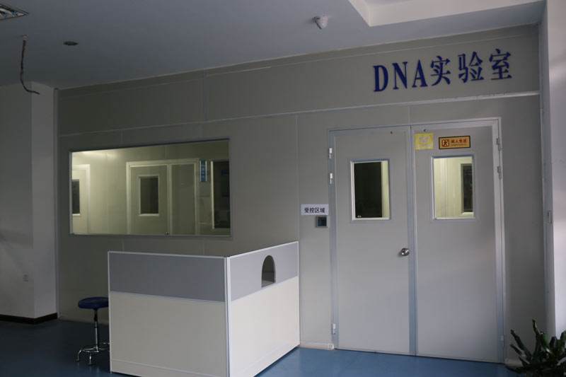 親子鑒定費(fèi)用大概需要多少